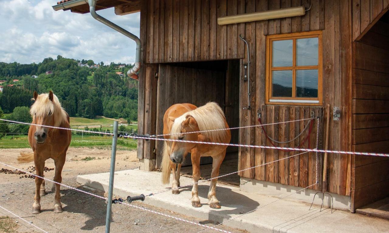 Ferienwohnung Dichtl Grafenau  Esterno foto